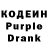 Кодеиновый сироп Lean Purple Drank Soliarkin